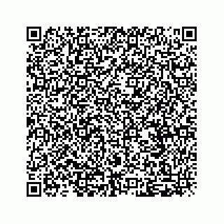 vCard 79292040019