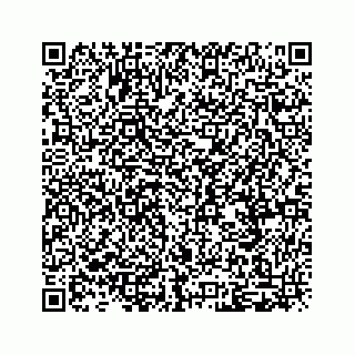 vCard 79292040032