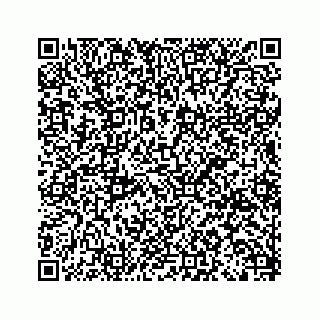 vCard 79292040039