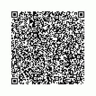 vCard 79292040085