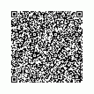 vCard 79292040087