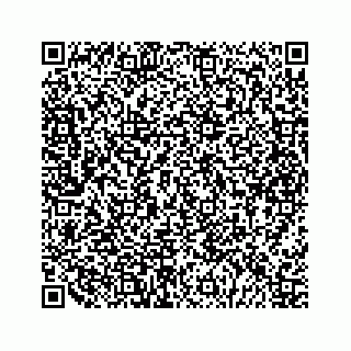 vCard 79292040133
