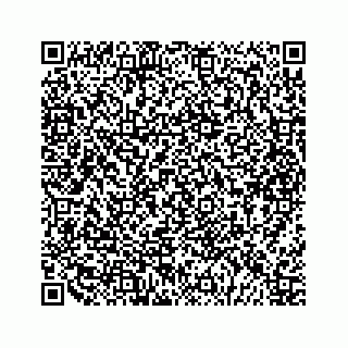 vCard 79292040201
