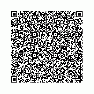 vCard 79292040208