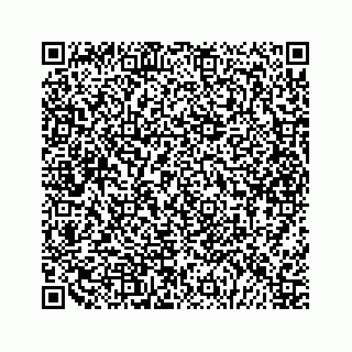 vCard 79292040217