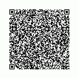 vCard 79292040301