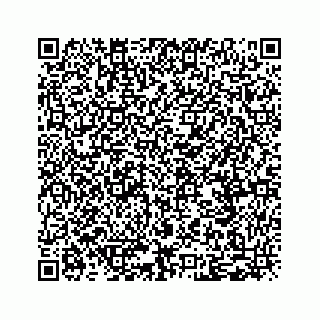 vCard 79292040323