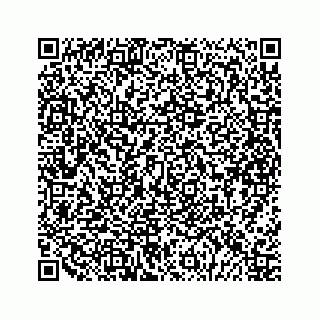 vCard 79292040331
