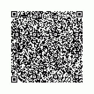 vCard 79292040377