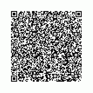 vCard 79292040381