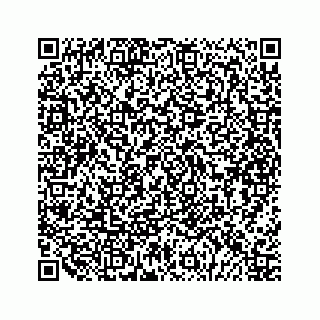vCard 79292040399