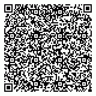 vCard 79292080313