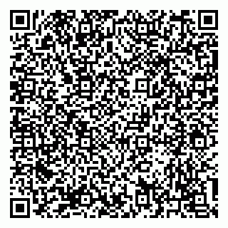 vCard 79293310000