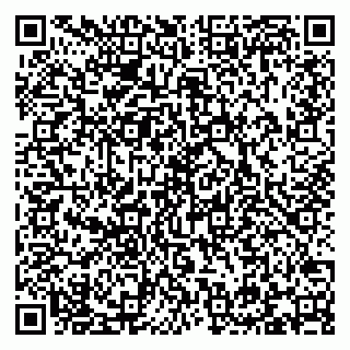 vCard 79293310001