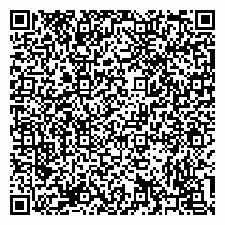 vCard 79293310099