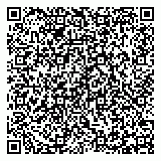 vCard 79293310171