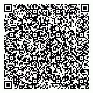 vCard 79293310303