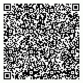 vCard 79293310331