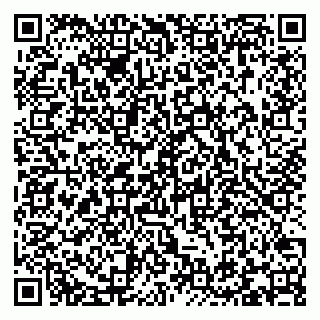 vCard 79293310370