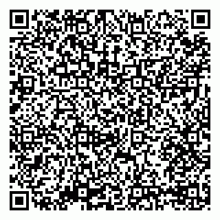 vCard 79293310380