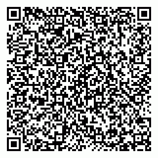 vCard 79293310399