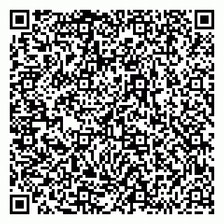 vCard 79293430002