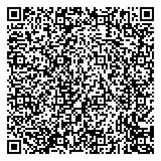 vCard 79293430004