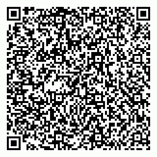 vCard 79293430102