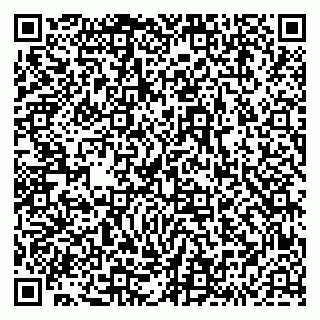 vCard 79293430131