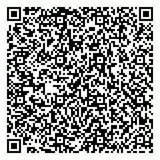 vCard 79293430132