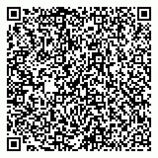 vCard 79293430133