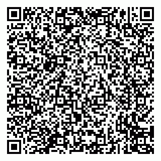 vCard 79293430138