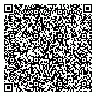 vCard 79293430149