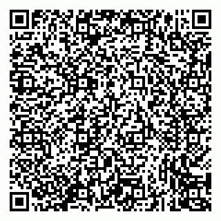 vCard 79293430173
