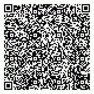 vCard 79293430205