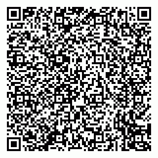 vCard 79293430209