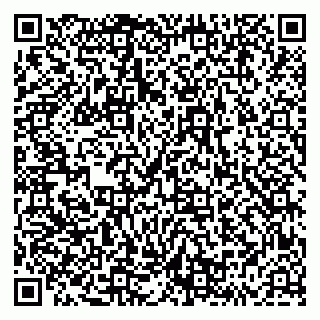 vCard 79293430271