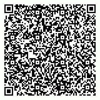 vCard 79293430272