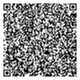 vCard 79293430273
