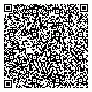 vCard 79293430274