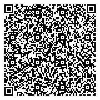 vCard 79293430300