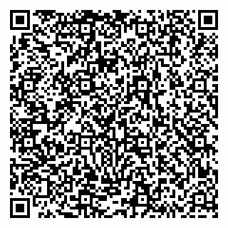vCard 79293430317