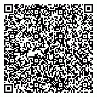 vCard 79293430335