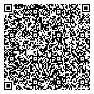 vCard 79293430372