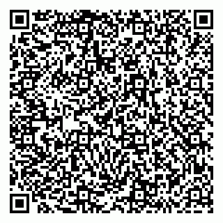 vCard 79293430378