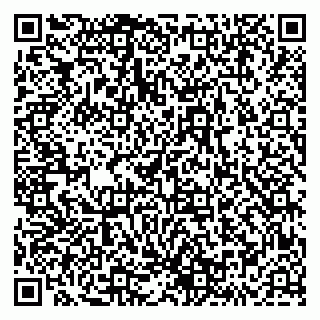 vCard 79293430379