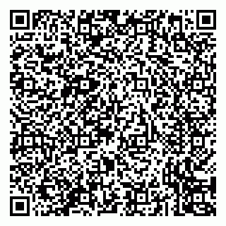 vCard 79293430389