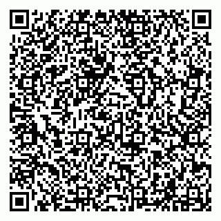 vCard 79294000139