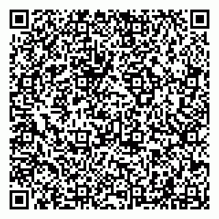 vCard 79294000336