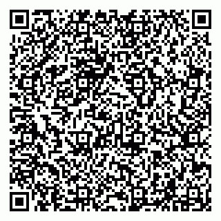 vCard 79294000371